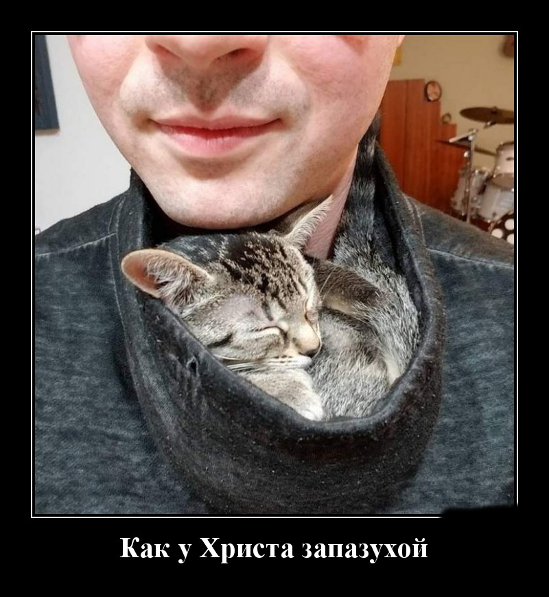 Podborka luchshikh demotivatorov 525 017